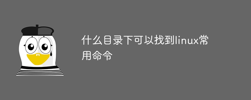 什么目录下可以找到linux常用命令