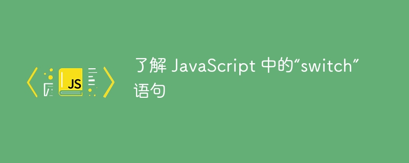 了解 javascript 中的“switch”语句