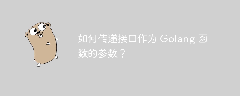 如何传递接口作为 Golang 函数的参数？