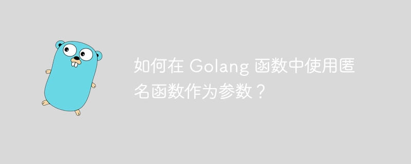 如何在 Golang 函数中使用匿名函数作为参数？