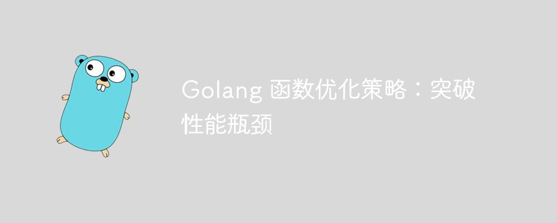 Golang 函数优化策略：突破性能瓶颈