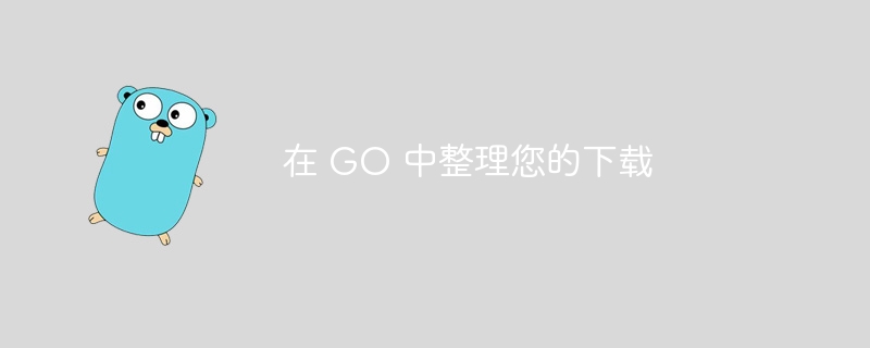 在 go 中整理您的下载