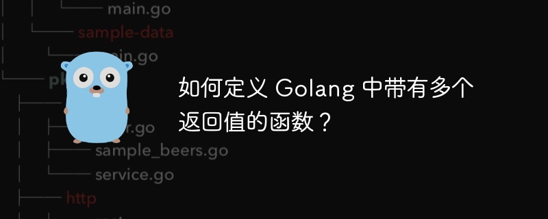 如何定义 Golang 中带有多个返回值的函数？