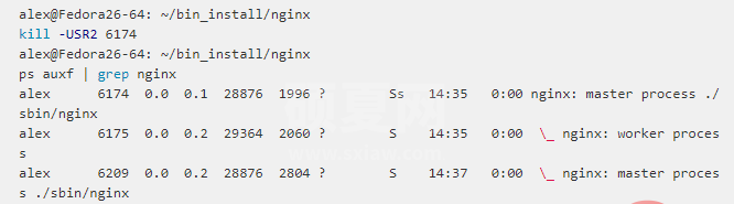 nginx信号集实例分析