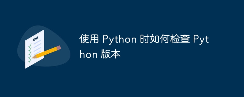 使用 python 时如何检查 python 版本