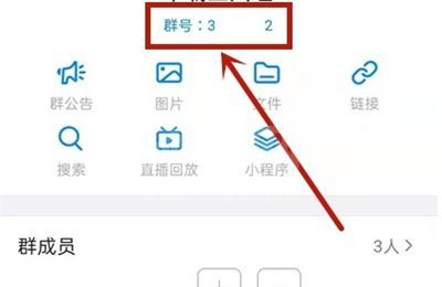 钉钉怎么查看群号?钉钉查询群号步骤一览截图