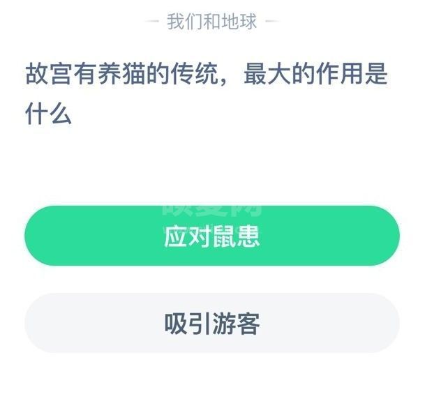 故宫养猫最大的作用 故宫养猫传统最大的作用是什么蚂蚁庄园答案截图