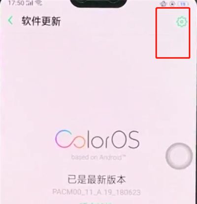 在OPPO R15x中关闭系统自动更新的具体讲解截图