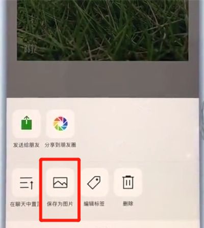 苹果7plus中截长图的简单步骤截图