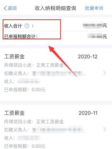 个人所得税怎么查询2020年度个人收入纳税明细?个人所得税查询2020年度个人收入纳税明细方法步骤截图