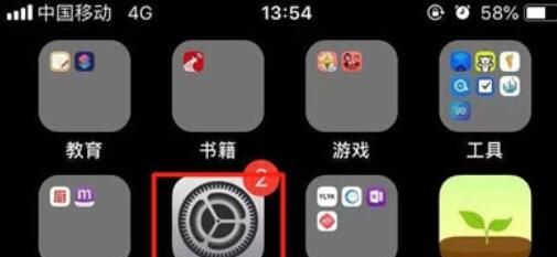 iPhone11pro max还原网络设置的具体方法截图