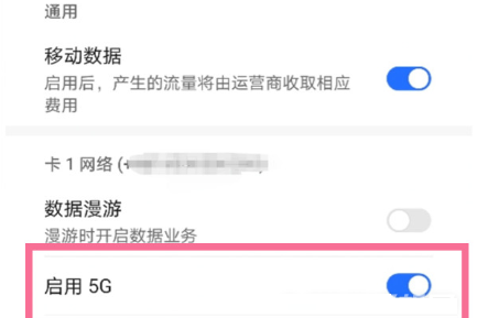 荣耀60在哪里开启5G网络？荣耀60开启5G网络操作方法截图