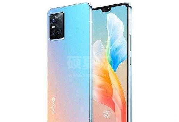 vivos10e支持内存扩展吗?vivos10e支持内存扩展介绍