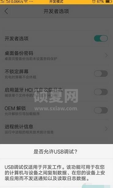 realme Q开启usb调试的方法步骤截图