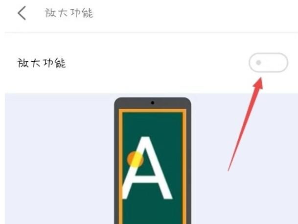 魅族16sPro中放大功能的具体使用方法截图