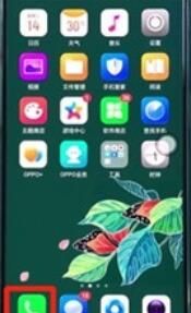 oppoReno Ace清理通话记录的详细步骤截图