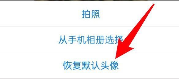 腾讯会议默认头像怎么恢复？腾讯会议默认头像恢复方法截图
