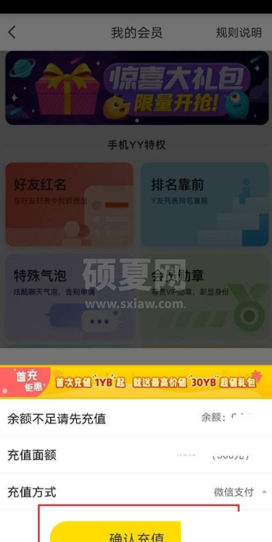 YY怎么开通会员？YY开通会员教程截图