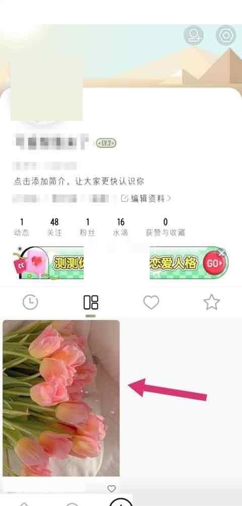 绿洲动态怎么置顶?绿洲动态置顶方法