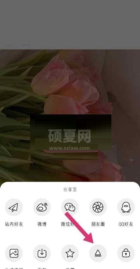 绿洲动态怎么置顶?绿洲动态置顶方法截图