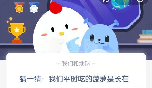 猜一猜：我们平时吃的菠萝是长在？支付宝蚂蚁庄园9月15日答案