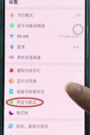 oppoReno Ace取消拨号按键音的详细说明截图