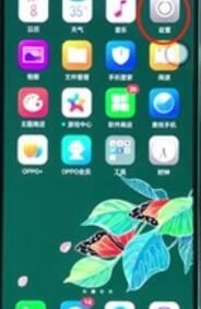 oppoReno Ace取消拨号按键音的详细说明截图