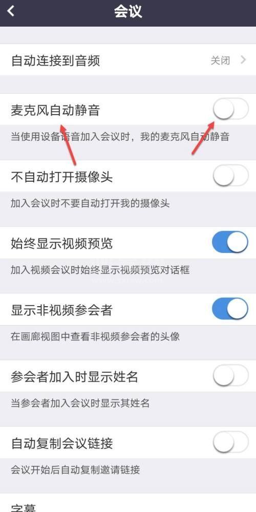 Umeet网络会议怎么开启麦克风自动静音?Umeet网络会议开启麦克风自动静音方法截图