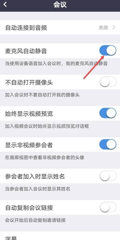 Umeet网络会议怎么开启麦克风自动静音?Umeet网络会议开启麦克风自动静音方法截图