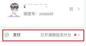 微信支付分进行关闭的操作方法截图