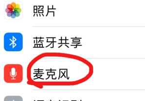 苹果手机游戏麦克风权限打开方法讲解截图