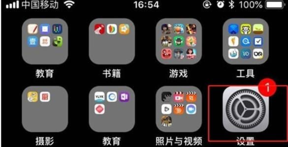 iPhone11pro max设置应用禁止使用流量的方法步骤截图