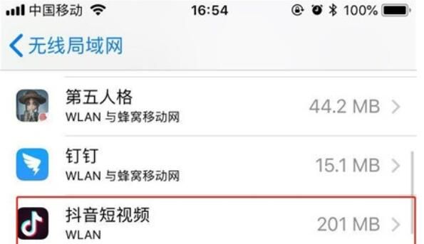 iPhone11pro max设置应用禁止使用流量的方法步骤截图