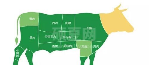 小鸡宝宝考考你，美味的肉眼牛排其实是牛什么部位的肉?支付宝蚂蚁庄园7月5日答案截图