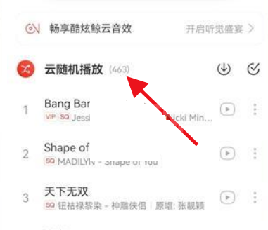 网易云音乐云随机怎么关闭？网易云音乐云随机关闭教程截图
