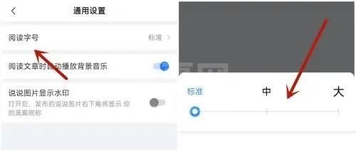 美篇阅读字号怎么设置？美篇阅读字号设置教程截图