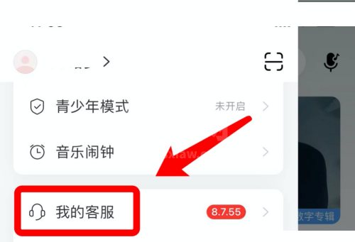 网易云音乐怎么实名认证？网易云音乐实名认证教程