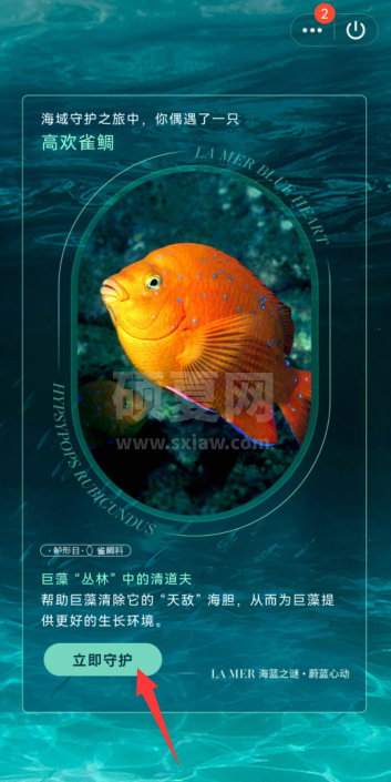 QQ守护海洋生物怎么参与？QQ守护海洋生物参与教程截图