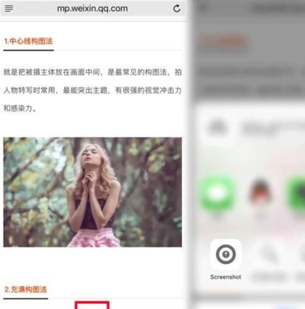 iPhone11pro max进行截长图的具体操作步骤截图