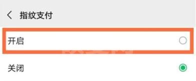 荣耀50pro微信怎么开启指纹支付?荣耀50pro微信开启指纹支付流程截图