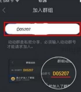 动动APP加群的操作步骤截图