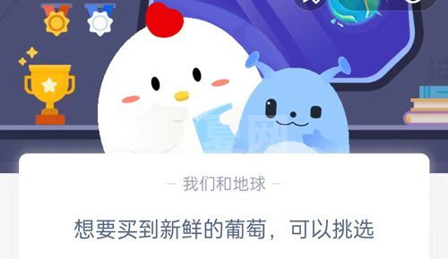 想要买到新鲜的葡萄，可以挑选?支付宝蚂蚁庄园5月16日答案