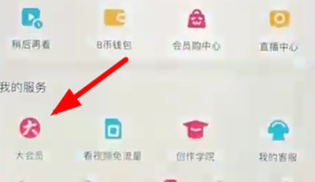 哔哩哔哩关闭自动续费的操作过程截图