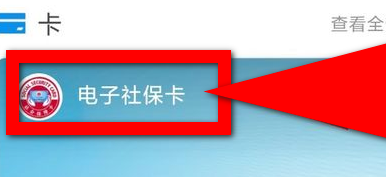 支付宝查询社保缴费信息的具体方法截图