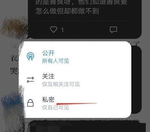 微信读书怎么私密评论？微信读书私密评论步骤介绍截图