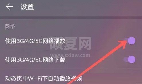 网易云音乐怎么开启流量播放?网易云音乐开启流量播放方法截图