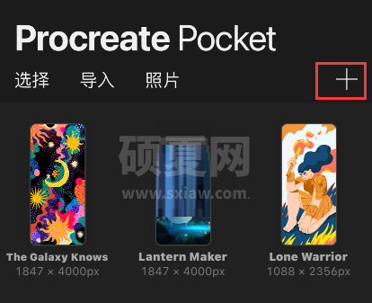 procreate pocket怎么调整画笔大小?procreate pocket调整画笔大小方法截图