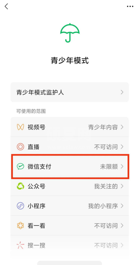 微信青少年模式如何设置限制付款?微信青少年模式设置限制付款教程截图