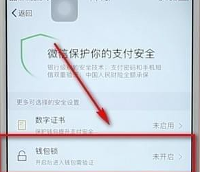 微信设置钱包锁的基础操作截图