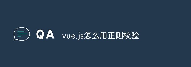 vue.js怎么用正则校验